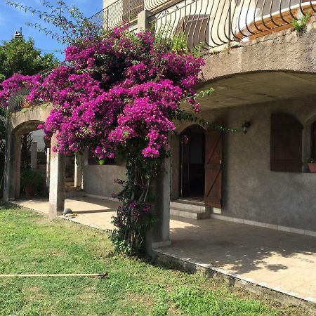 80 Route De San Martino Apartment Bastia  Exterior photo